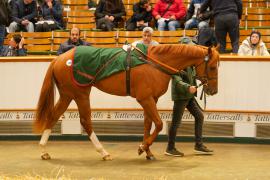 Lot  326 THIT 1390Tattersalls