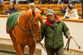 Lot  326 THIT 1488Tattersalls