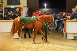 Lot  326 THIT 1537Tattersalls