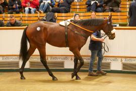 Lot  327B THIT 1494Tattersalls