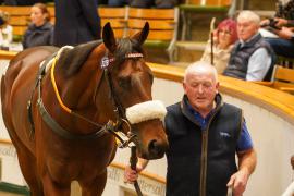 Lot  327B THIT 1513Tattersalls