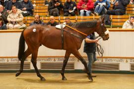 Lot  327B THIT 1574Tattersalls