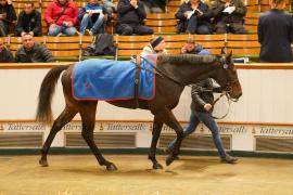 Lot  327C THIT 1477Tattersalls