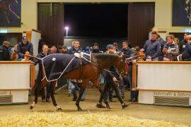 Lot  327E THIT 1237Tattersalls