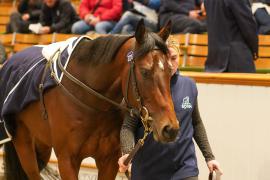 Lot  327E THIT 1412Tattersalls