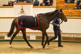 Lot  328 THIT 1325Tattersalls