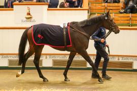 Lot  328 THIT 1500Tattersalls