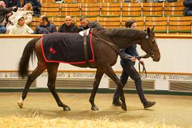 Lot  328 THIT 1625Tattersalls