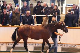 Lot  330 T B1 2000 Tattersalls