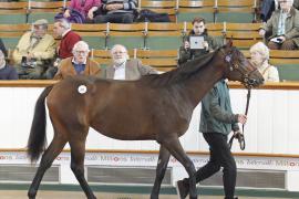 Lot  331 T O14903 Tattersalls