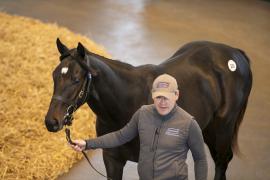 Lot  332 TBK1 9098Tattersalls