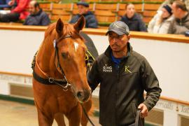 Lot  336 THIT 1385Tattersalls