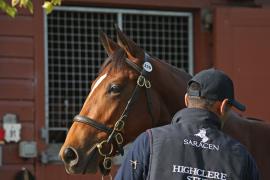 Lot  339 T B K1 V 031015 0078 Tattersalls