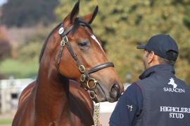 Lot  339 T B K1 V 031015 0090 Tattersalls