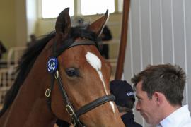 Lot  343 T O15003 Tattersalls