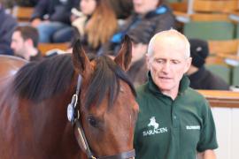 Lot  347 T B K1 0091 Tattersalls