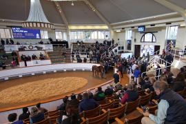 Lot  347 T B K1 0425 Tattersalls