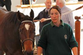 Lot  348 T B K1 0084 Tattersalls