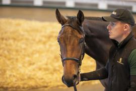 Lot  358 TBK1 9732Tattersalls