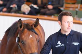 Lot  362 T B K1 0539 Tattersalls