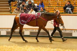 Lot  362 THIT 1651Tattersalls