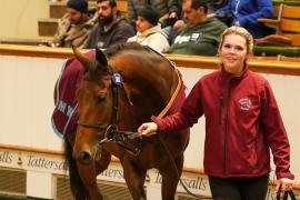 Lot  362 THIT 1654Tattersalls