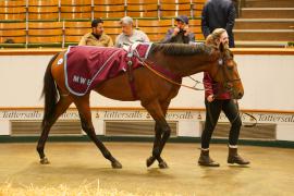 Lot  362 THIT 1683Tattersalls