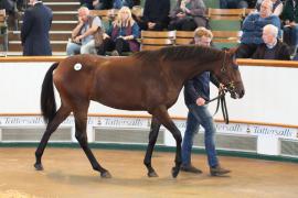 Lot  382 T B K1 0680 Tattersalls