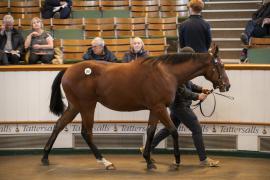 Lot  382 TBK1 10029Tattersalls