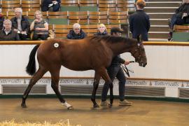 Lot  382 TBK1 9994Tattersalls