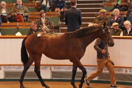 Lot  383 T B1 0274 Tattersalls