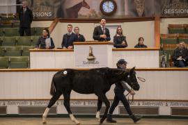 Lot  385 TDF 1222Tattersalls