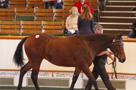 Lot  387 T B K1 0500 Tattersalls