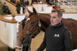 Lot  388 TBK1 10246Tattersalls