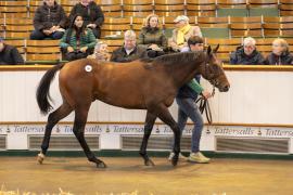 Lot  389 TBK1 10495Tattersalls