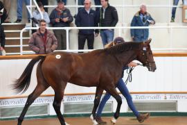 Lot  396 T B1 0527 Tattersalls