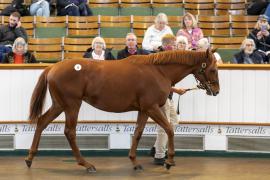 Lot  39 TBK1 0422Tattersalls