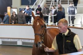 Lot  39 TBK1 0828Tattersalls