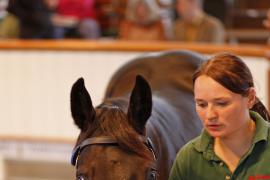 Lot  400 T B K1 0760 Tattersalls