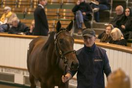 Lot  402 TBK1 10634Tattersalls