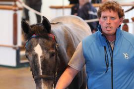 Lot  407 T B K1 1327 Tattersalls