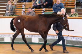 Lot  408 T B K1 1394 Tattersalls