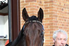 Lot  408 T B K1 1416 Tattersalls