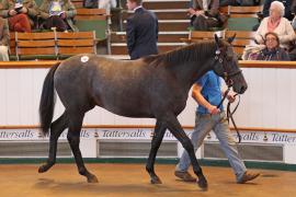 Lot  410 T B1 0789 Tattersalls