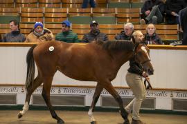 Lot  410 TBK1 11282Tattersalls