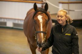 Lot  410 TBK1 11299Tattersalls