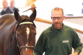 Lot  438 T B1 1400 Tattersalls