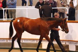 Lot  440 T B K1 1217 Tattersalls