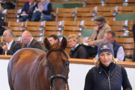 Lot  461 T B K1 2390 Tattersalls