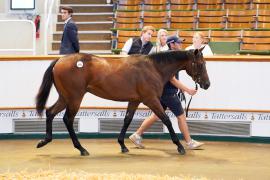 Lot  465 TSS2237Tattersalls